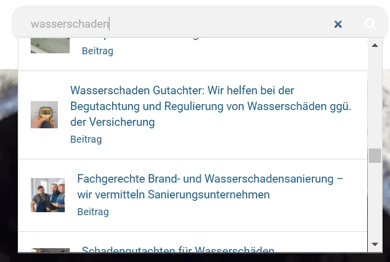 portfolio/deutsche-schadenshilfe/dsh-search.webp Before