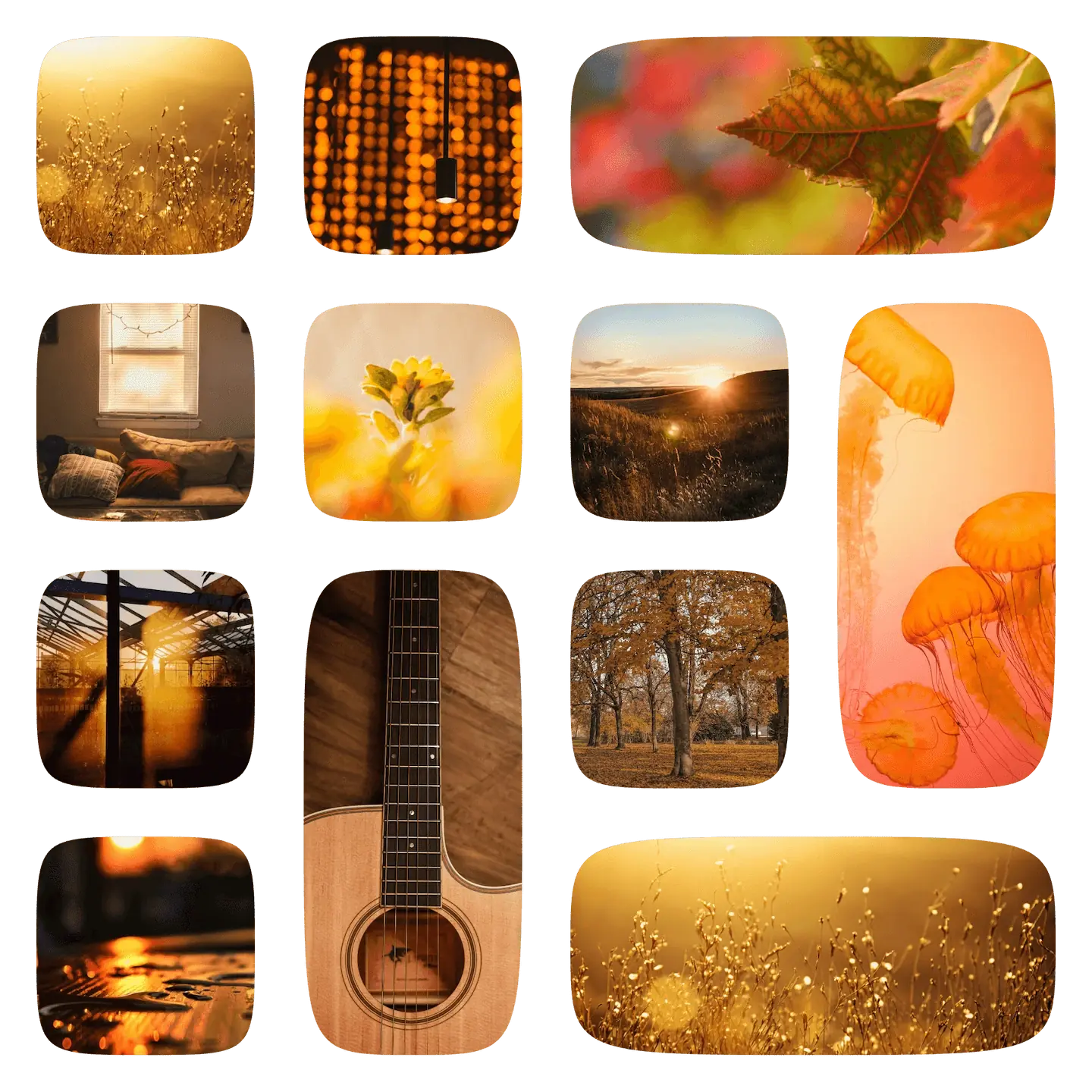 grid warm.webp